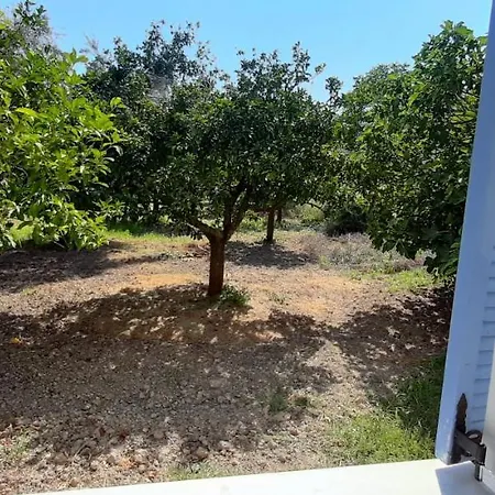 Armonia Διαμέρισμα Βασιλική